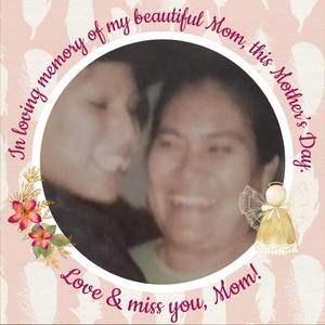 Meet your Posher, Lily